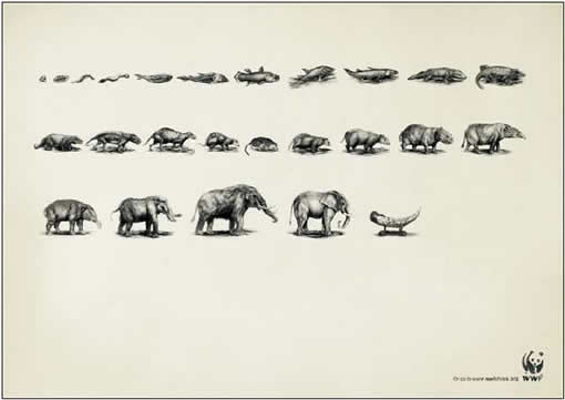 世界自然基金会WWF公益广告