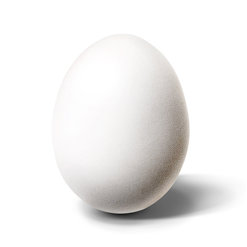 高手作品：鸡蛋的故事