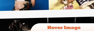jQuery-Hover-Image.jpg