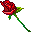 文件:rose.gif  <br>  尺寸:32 × 32  