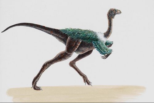 恐龙的形体手绘图赏
