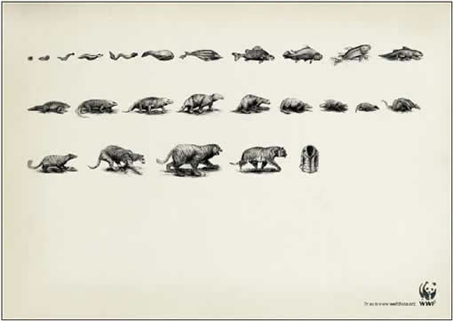 世界自然基金会WWF公益广告