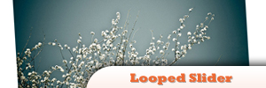 jQuery-Looped-Slider.jpg