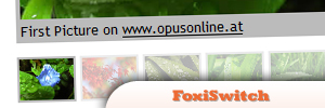 jQuery-FoxiSwitch.jpg